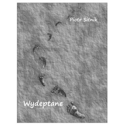 Wydeptane (Edycja limitowana)(e-book, format pdf)